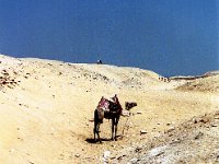 1992071084 Darrel-Betty-Darla Hagberg - Egypt Vacation