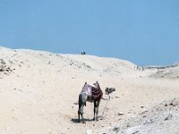 1992071084A Darrel-Betty-Darla Hagberg - Egypt Vacation