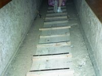 1992071087B Darrel-Betty-Darla Hagberg - Egypt Vacation