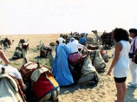 1992071093 Darrel-Betty-Darla Hagberg - Egypt Vacation