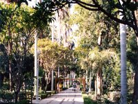 1992071195 Darrel-Betty-Darla Hagberg - Egypt Vacation