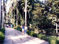 1992071196 Darrel-Betty-Darla Hagberg - Egypt Vacation