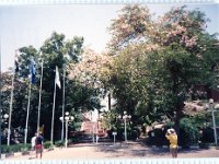 1992071224 Darrel-Betty-Darla Hagberg - Egypt Vacation