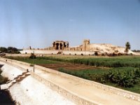 1992071228 Darrel-Betty-Darla Hagberg - Egypt Vacation