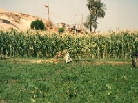 1992071231 Darrel-Betty-Darla Hagberg - Egypt Vacation