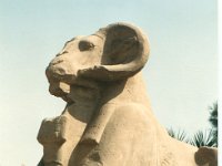 1992071295 Darrel-Betty-Darla Hagberg - Egypt Vacation