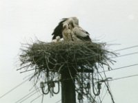 1996075423 Darrel and Betty Hagberg - Estonia