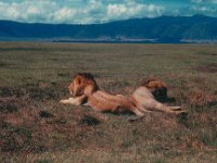 Tanzania - Kenya Vacation (January 1966)