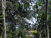 2012094575 Ethnological Museun - Addis Ababa Ethiopia Sep 25