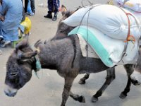 2012094716 Mercato Market- Addis Ababa Ethiopia Sep 25