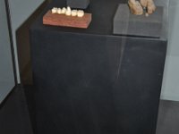 2012095043 National Museum - Addis Ababa - Ethiopia