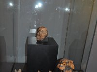 2012095044 National Museum - Addis Ababa - Ethiopia