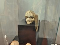 2012095048 National Museum - Addis Ababa - Ethiopia