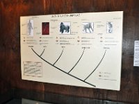 2012095049 National Museum - Addis Ababa - Ethiopia