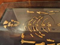 2012095051 National Museum - Addis Ababa - Ethiopia