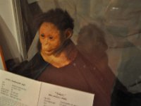 2012095064 National Museum - Addis Ababa - Ethiopia