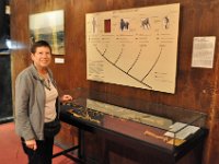 2012095071 National Museum - Addis Ababa - Ethiopia