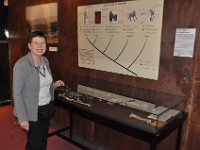 2012095072 National Museum - Addis Ababa - Ethiopia