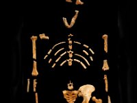 2012095072B National Museum - Addis Ababa - Ethiopia copy