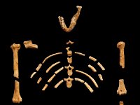 2012095072B National Museum - Addis Ababa - Ethiopia