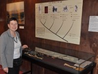 2012095072a National Museum - Addis Ababa - Ethiopia