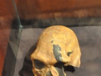 2012095074 National Museum - Addis Ababa - Ethiopia