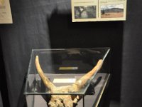 2012095080 National Museum - Addis Ababa - Ethiopia