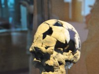 2012095091 National Museum - Addis Ababa - Ethiopia