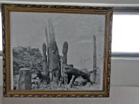 2012095196 National Museum - Addis Ababa - Ethiopia