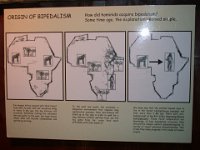 2012095242 National Museum - Addis Ababa - Ethiopia