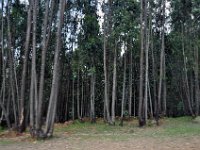 2012095250 Mount Entoto Overlook - Addis Ababa - Ethiopia