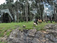 2012095251 Mount Entoto Overlook - Addis Ababa - Ethiopia