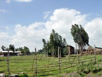 2012095426 Debre Berhan -Ethiopia