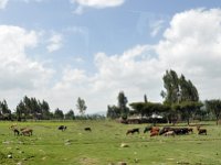 2012095427 Debre Berhan -Ethiopia