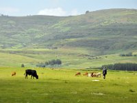 2012095434 Debre Berhan -Ethiopia