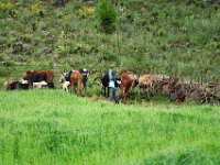 2012095443 Debre Berhan -Ethiopia