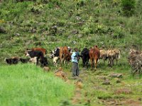 2012095444 Debre Berhan -Ethiopia