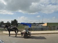 2012095448 Debre Berhan -Ethiopia