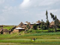 2012095449 Debre Berhan -Ethiopia