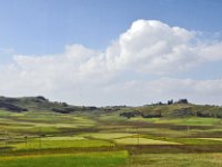 2012095452 Debre Berhan -Ethiopia