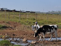 2012095469 Debre Berhan -Ethiopia
