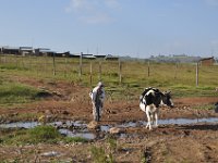 2012095470 Debre Berhan -Ethiopia