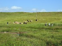 2012095472 Debre Berhan -Ethiopia