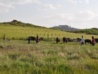 2012095474 Debre Berhan -Ethiopia