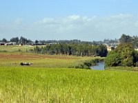 2012095478 Debre Berhan -Ethiopia