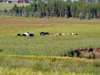 2012095485 Debre Berhan -Ethiopia