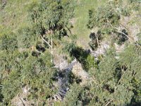 2012095505 Debre Berhan -Ethiopia