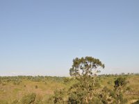 2012095509 Debre Berhan -Ethiopia