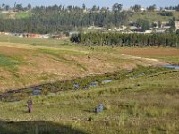 2012095528 Debre Berhan -Ethiopia