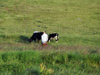 2012095532 Debre Berhan -Ethiopia